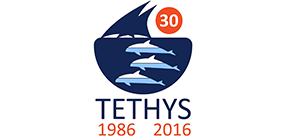 Tethys研究所（イタリア）